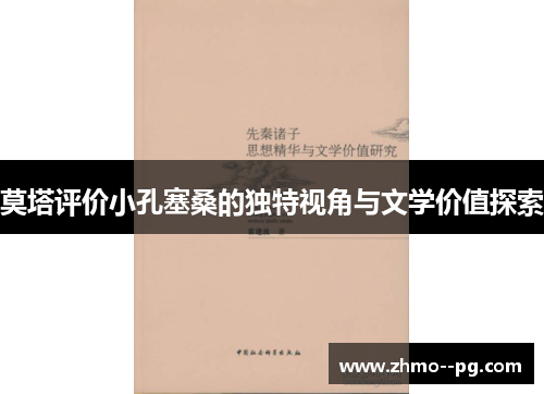 莫塔评价小孔塞桑的独特视角与文学价值探索