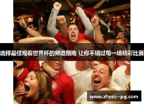 选择最佳观看世界杯的频道指南 让你不错过每一场精彩比赛