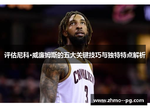评估尼科·威廉姆斯的五大关键技巧与独特特点解析 评估尼科·威廉姆斯的五大关键技巧与独特特点解析