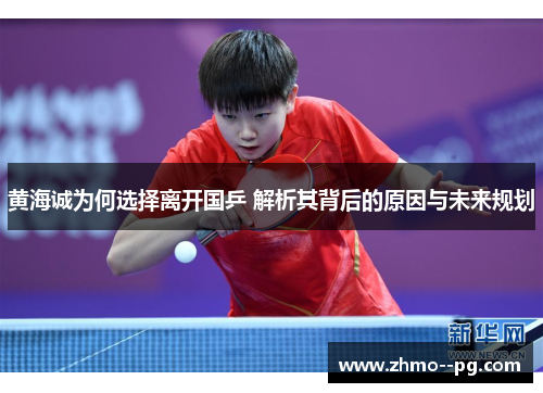黄海诚为何选择离开国乒 解析其背后的原因与未来规划