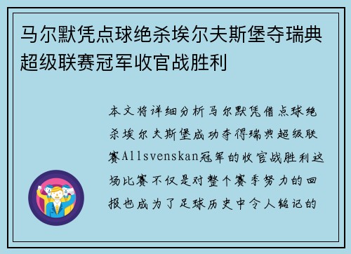 马尔默凭点球绝杀埃尔夫斯堡夺瑞典超级联赛冠军收官战胜利
